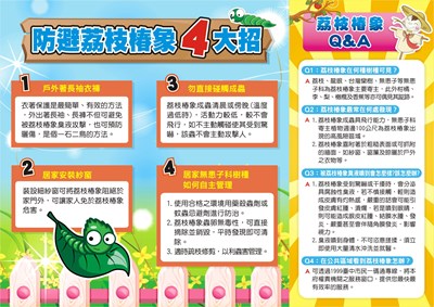 非農業區荔枝椿象防治海報